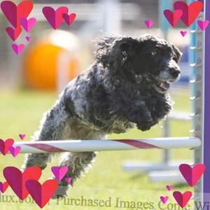 Meet your Posher, Km